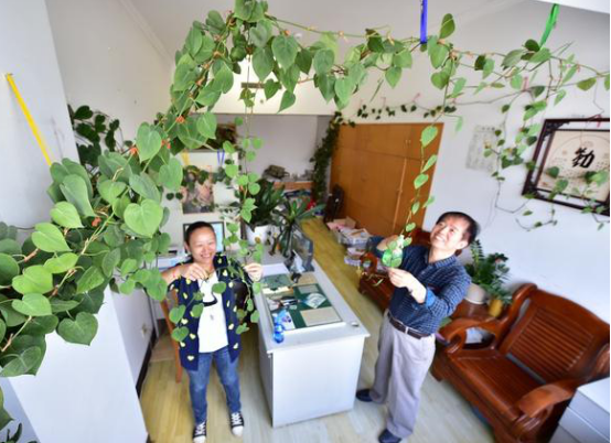平常室內除甲醛用的方法弊端有哪些？