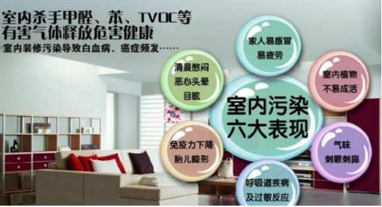 除甲醛加盟