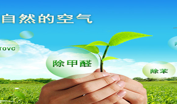 怎么樣選擇除甲醛加盟公司？